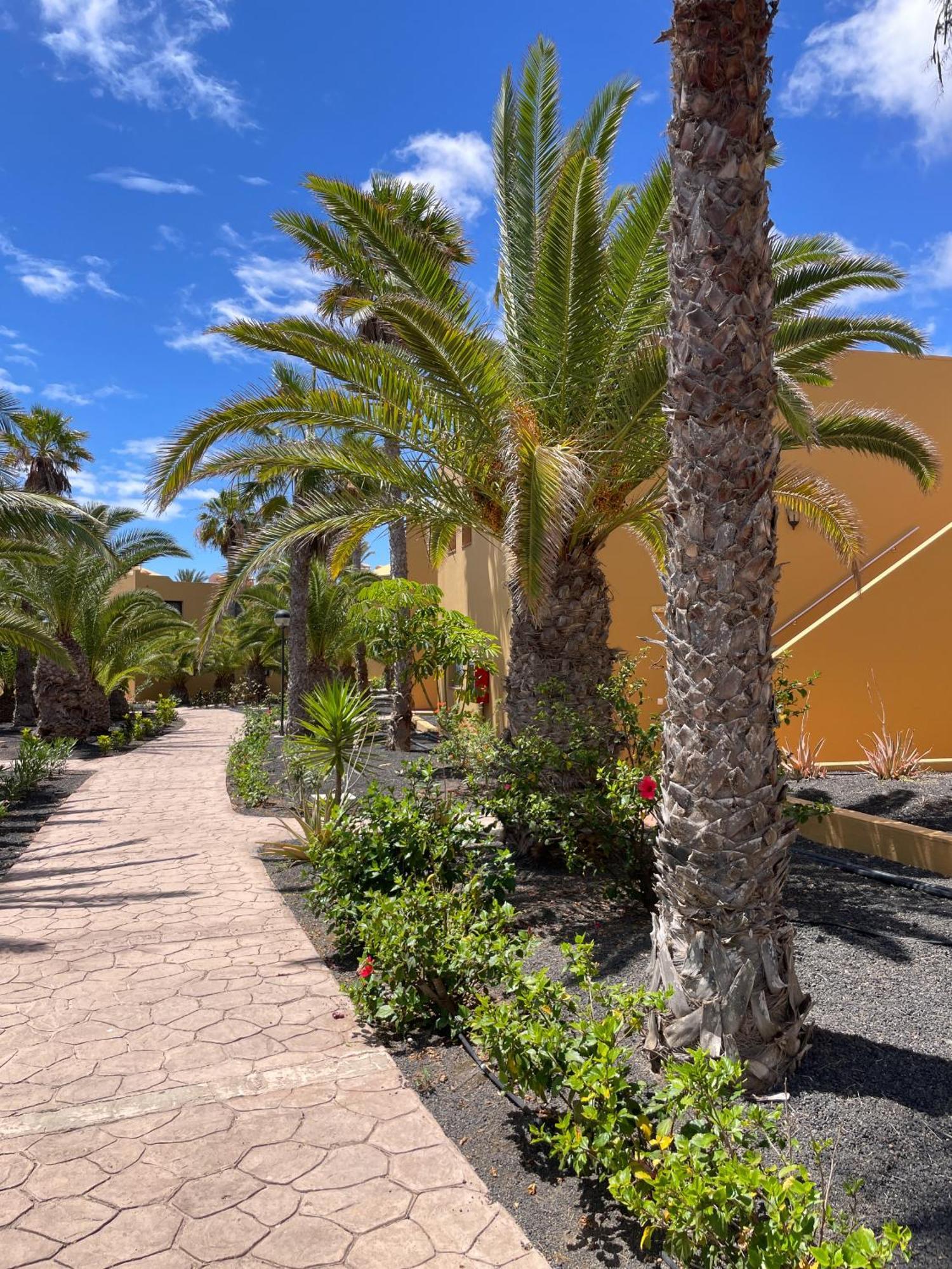 B-Rent Casa Angela Pool View Apartman Corralejo Kültér fotó
